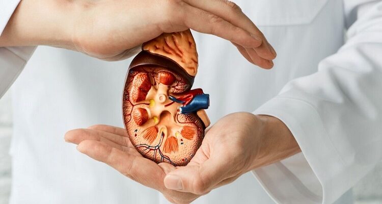 When You Should See a Nephrologist and How It Helps Nephrologist